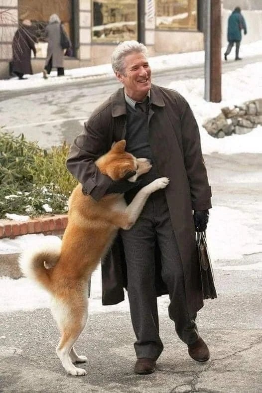 There are special pictures of Hachiko waiting for his owner. Hachiko was very patient, but it’s sad to see the pictures.