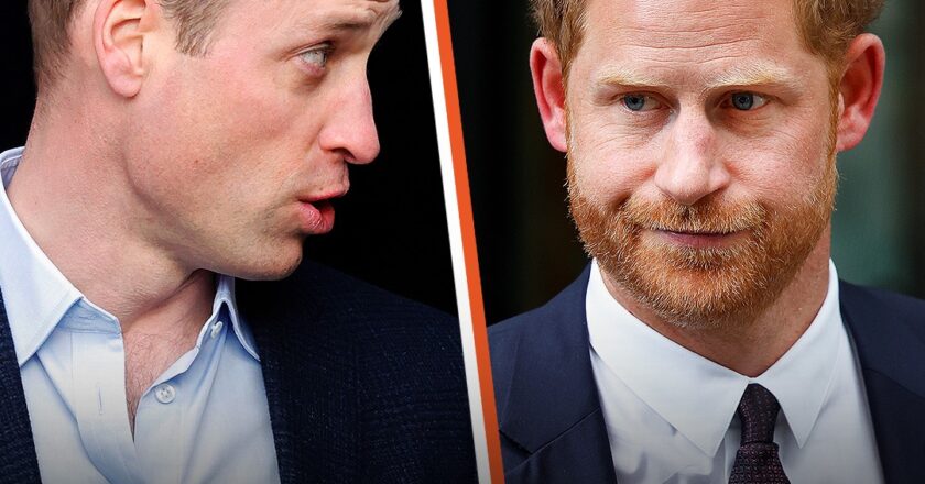 Prince Harry Reportedly Demands an Apology from Prince William