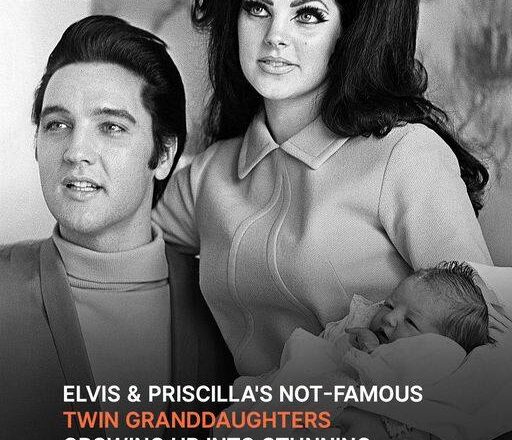 Priscilla Presley’s Teen Granddaughter Looks Like ‘Nona’s Twin’ in New Photo, Leaving Fans Amazed