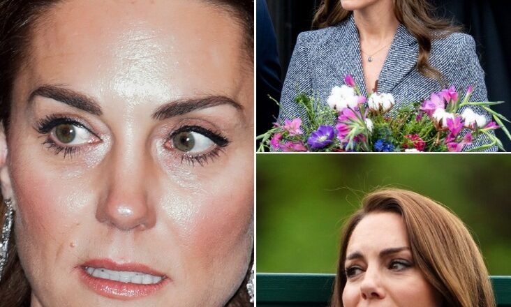 Royal Expert Shares Tragic Verdict on Kate Middleton – Accusing Palace of Not Protecting Her