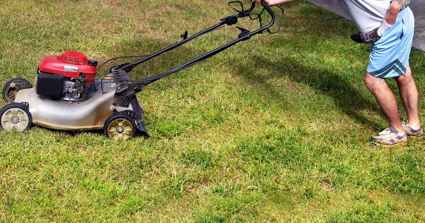 Single Dad Helps Old Lady Mow Her Lawn, Soon Gets a Call from Her Lawyer