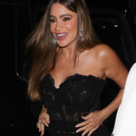 Less than one year since shock divorce, Sofia Vergara ‘thinking marriage’ with new man, claims insider