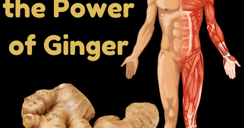 Unlocking the Power of Ginger: 10 Surprising Advantages of Eating It Every Day